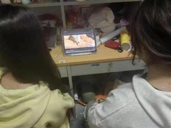 微信图片_20240429190637.jpg